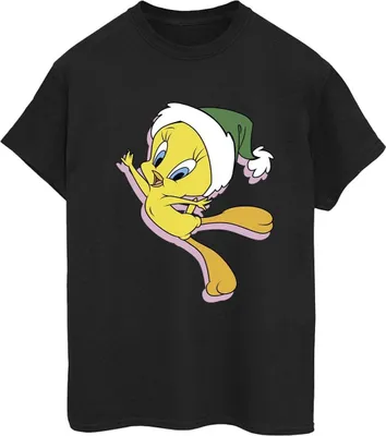 Obrázek produktu pro Looney Tunes - dámské tričko BI33885 (5XL) (černá)