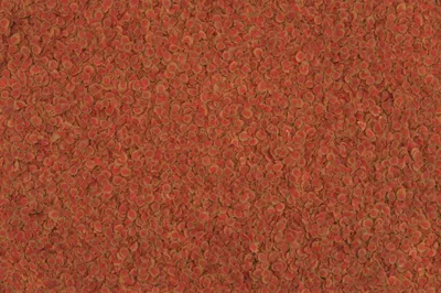 Produktbild von TetraPro Zierfischfutter Colour 500 ml