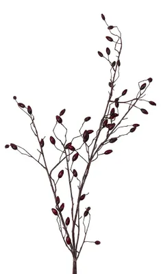 Immagine prodotto di Clayre & Eef, fiore artificiale, colore nero, materiale: plastica