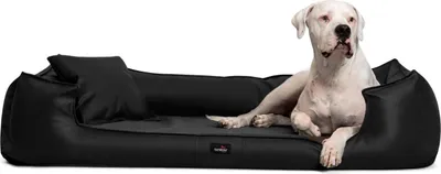 Produktbild von tierlando® Orthopädisches Hundebett GOOFY Kunstleder >>inkl. Matratzenschoner<< - Größe: 90x75cm | Farbe: 03 Schwarz
