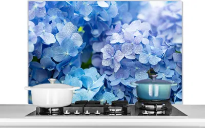 Obrázek produktu pro KitchenYeah® Splashback - Kuchyňský splashback - Ochrana stěny sporáku a dřezu - Hortenzie - Kapky vody - Květinový - Botanický - Modrý 100x65 - Alu-Dibond (alternativa ke skleněnému splashbacku) -