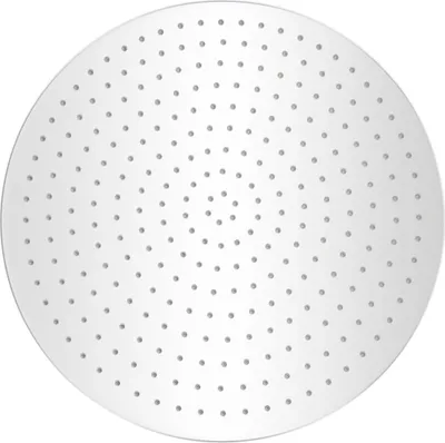 A close-up, top-down view of a round shower head with many small holes.