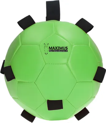 Produktbild von Maximus Fun Play Ball mit Schlaufe grün