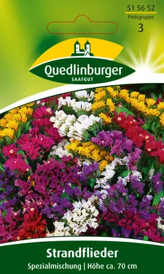 Produktbild von Strandflieder, Spezialmischung