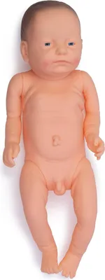 Produktbild von Pflegebaby Modell lebensgroß Übungsmodell Hebammen Eltern