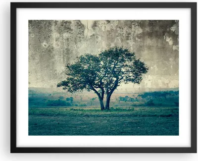 Produktbild von Gerahmtes Poster - Schwarzer Rahmen - Baum Natur Feld - 50x40 cm - Wand Bild - Wanddeko - Wandbilder - Kunstposter - Wandposter - Bilderrahmen - Bilder - Kunstdruck - Wandbild - P2BAA50x40-3627