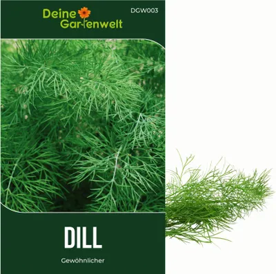 Produktbild von Dill Gewöhnlicher Samen - Anethum graveolens - Dillsamen - Kräutersamen - Saatgut für 150 Pflanzen