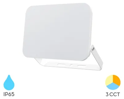 Image de Projecteur LED Braytron 10 W, IP65, 3CCT, éclairage homogène sans LED visibles, projecteur d'extérieur pour balcons, entrées et petites surfaces