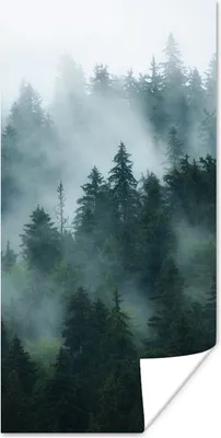 Produktbild von MuchoWow® Poster Nebel - Bäume - Wald 20x40 cm - Plakat - Foto