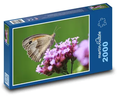 Obrázok produktu pre Puzzle 2000 Motýľ na kvetine - martinpuzzle