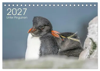 Produktbild von Unter Pinguinen (Tischkalender 2027 DIN A5 quer), CALVENDO Monatskalender