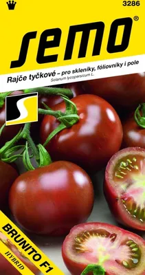 Obrázok produktu pre Paradajky - Brunito F1 20s