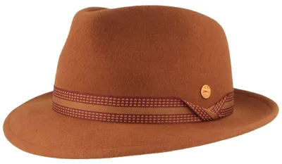 Mayser Maleo Trilby aus Wolle mit gemustertem Band in braun