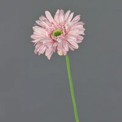 Produktbild von artplants.de Künstliche Blume Gerbera Helli, rosa, 65cm, Ø 12cm