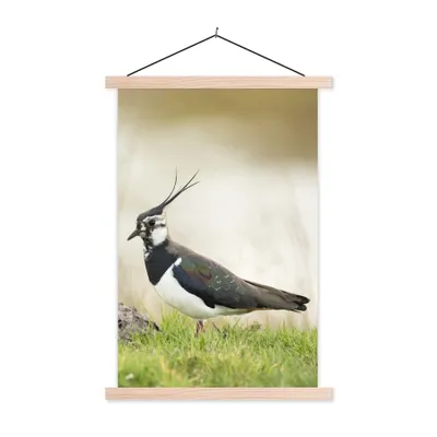 Produktbild von MuchoWow® Textilposter Vogel - Gras - Tiere - Natur - Kiebitz 60x90 cm mit holzfarbenen Rahmen - Textil
