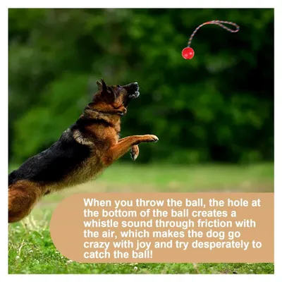 Produktbild von 4 Stück Hundeball mit Schnur, Wurfball aus Naturkautschuk, Interaktives Hundespielzeug mit Seil, Unzerstörbarer Ball zum Apportieren, Fangen und Werfen