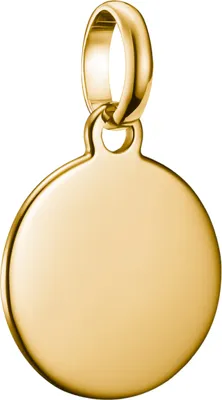 A close-up studio shot of a gold charm pendant.