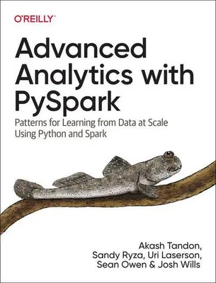 Image de Advanced Analytics with PySpark