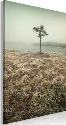 Produktbild von Vliesstoff Leinwandbild - At the Lake Shore (1 Part) Vertical 60x90 cm Landschaften c-B-0596-b-a