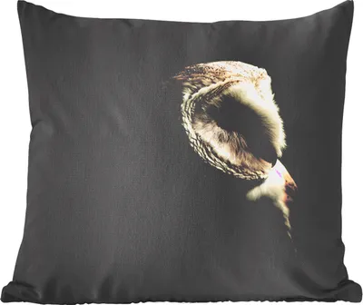 Produktbild von MuchoWow® Zierkissen Sofakissen Wohnzimmer Dekokissen 50x50 cm Eule - Vogel - Porträt - Komfort - Sofakissen