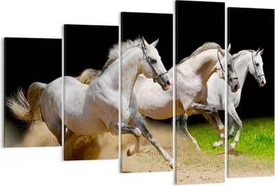 Produktbild von Bild auf Leinwand - Leinwandbild - Pferde Sand Gras - 150x100cm - Wand Bild - Wanddeko - Leinwanddruck - Bilder - Kunstdruck - Wanddekoration - Leinwand bilder - Wandkunst - EG150x100-0175