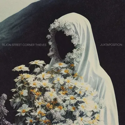 Produktbild von Tejon Street Corner Thieves: Juxtaposition