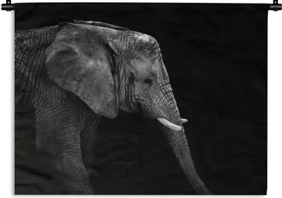 Produktbild von MuchoWow® Wandteppich Wandbehang Elefant - Schwarz und weiß - Porträt - Tiere 150x112.50 cm Tapisserie Dekoration Wandtuch - Wanddecke - Wandteppiche