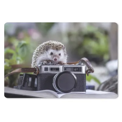 Produktbild von MuchoWow® Mauspad Mousepad Igel auf einer Kamera 27x18 cm - Mousepads - Maus Mat - Pad - Mausunterlage - Büroartikel - Desk Matten
