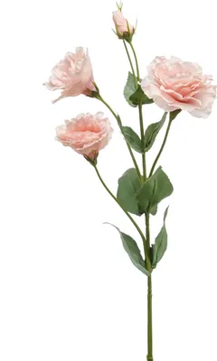 Produktbild von artplants.de Kunstblume Lisianthus Jeno, rosa 70cm - Deko Blume