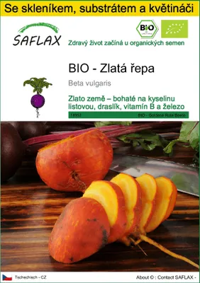 Obrázek produktu pro SAFLAX Kultivační sada - BIO - Zlatá řepa - Beta vulgaris - 50 Semena - S mini skleníkem, pěstebním substrátem a 2 květináči