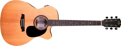 Obrázok produktu pre Prodipe Guitars SA25 CEQ