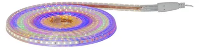 Zdjęcie produktu dla Świetlny przewód LED, płaski, typu SMD, płaski, 480 diod LED, zasilanie sieciowe, do użytku zewnętrznego, 5 metrów