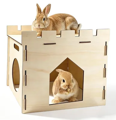 Image de Cage pour lapin en bois - 40 x 29 x 30 cm - Pour petits rongeurs