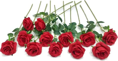 Imagen del producto de Rosas artificiales, 12 unidades, 53 cm de largo, tallos largos de color rojo, para decoración