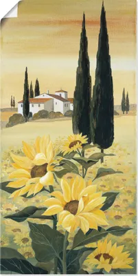 Produktbild von ARTland Poster Südliche Sonne I Größe: 20x40 cm