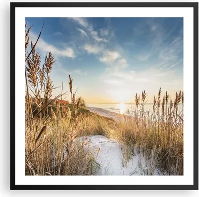 Produktbild von Gerahmtes Poster - Schwarzer Rahmen - Ähren Küste Sonne - 60x60 cm - Wand Bild - Wanddeko - Wandbilder - Kunstposter - Wandposter - Bilderrahmen - Bilder - Kunstdruck - P2BAC60x60-4653