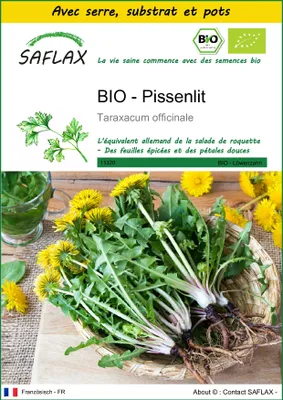 Image de SAFLAX Ensemble de culture -- Pissenlit - 400 graines - Taraxacum