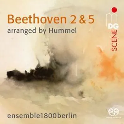 Produktbild von Ensemble1800berlin: Beethoven 2 & 5