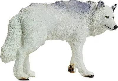 Produktbild von Safari Ltd Weiße Wolfsfigur Weiß From 3 Years Kinder Weiß From 3 Years
