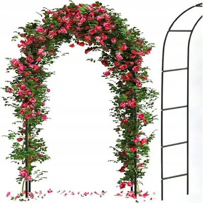 Produktbild von Gartenpergola Torbogen Metall – Rankhilfe für Rosen, Wein & Efeu – 240 cm – Schwarz