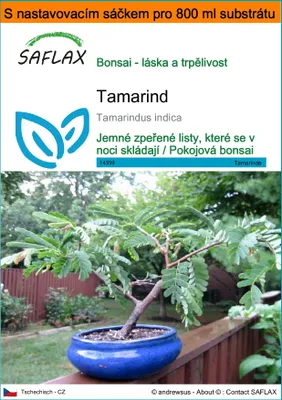 Obrázek produktu pro SAFLAX Garden in the bag - tamarind - Tamarindus indica - 4 Semena - S pěstebním substrátem v praktickém samovztyčovacím sáčku
