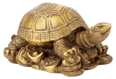 Produktbild von Messing Schildkröten Dekoration, Feng Shui Schildkröte Statue mit feiner Schnitzerei für Glück in Wohn- und Arbeitsräumen
