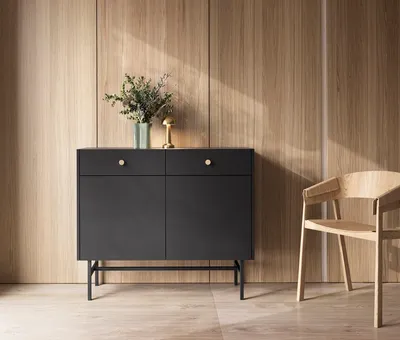 Produktbild von Kommode DIVA 2D2SZ Sideboard Schrank Highboard (Schwarz matt)