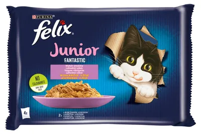 Produktbild von Felix Fantastyczne Kąski Kurczak i Łosoś dla Kota 4 x 85 g
