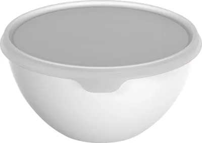 Produktbild von Rotho Schüssel + Deckel Caruba 3 L mistletoe white