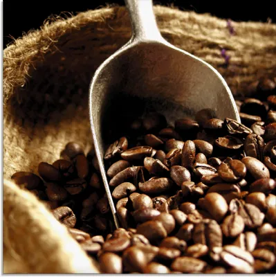 Produktbild von ARTland Glasbild Kaffee Größe: 20x20 cm