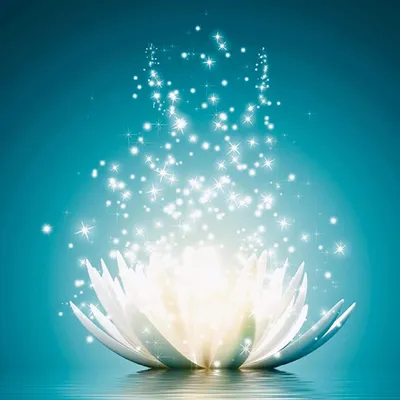Produktbild von Diamond Painting Voll Bilder 5D DIY Diamant Malerei Stickerei Kit Runde Bohrer Erwachsene Kinder für Büro Wand Haus Dekoration, Eleganter Lotus 30x30cm