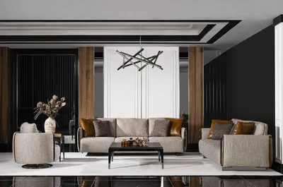 Immagine prodotto di Set da salotto in legno e tessuto nei colori grigio e marrone, moderno