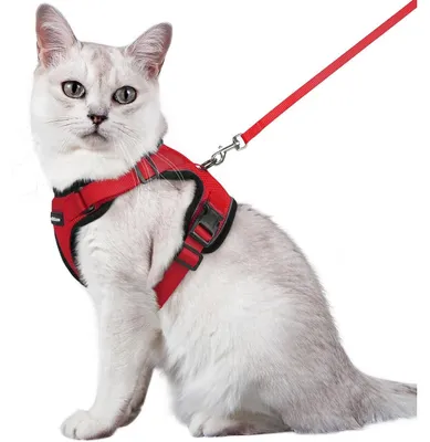 Produktbild von Katzengeschirr mit Leine, Softgeschirr, Ausbruchsicher, Verstellbar, Rot, Größe M