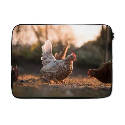 Produktbild von MuchoWow® Laptop Hülle 13 Zoll Scharren der Hühner im weichen Licht Laptoptasche - Laptophülle - Sleeve - Rundumschutz
